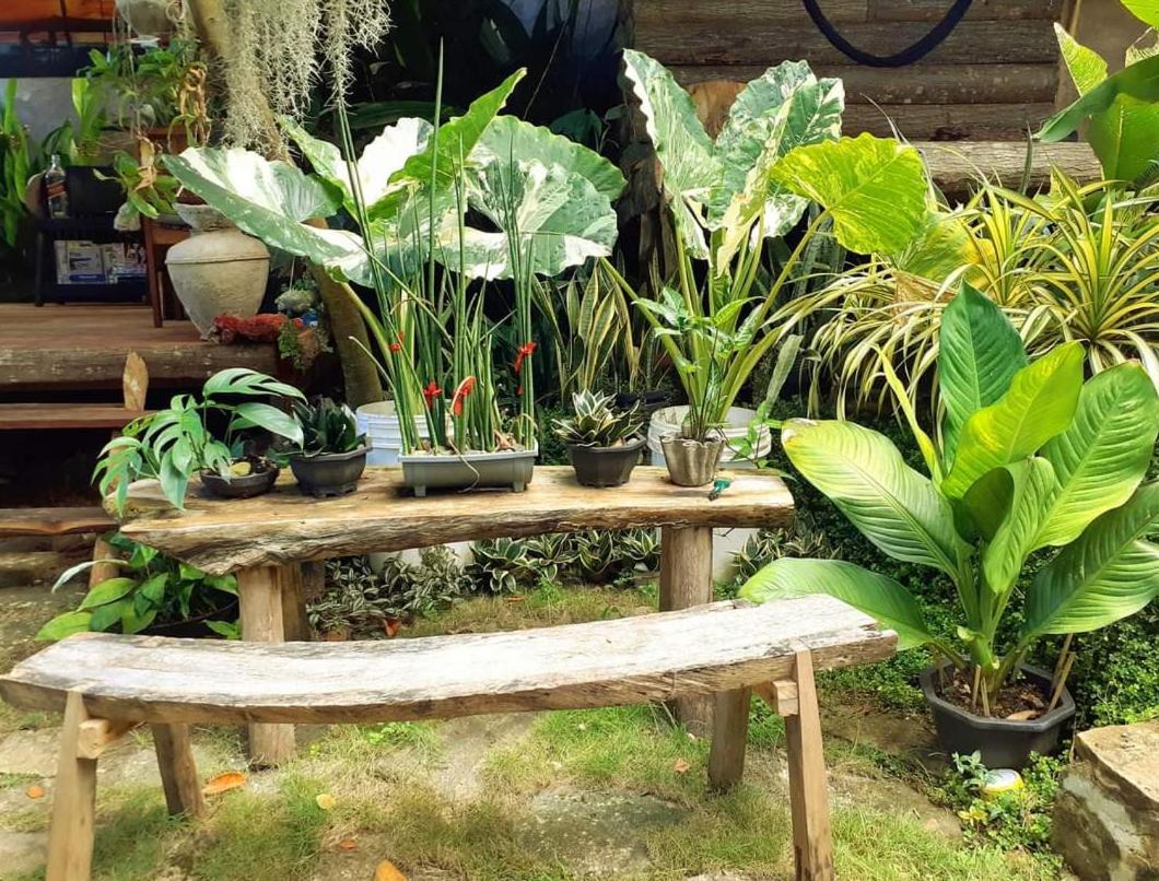Hotel Payag N' Kapitan, Experience Pinubre Living à Siquijor Extérieur photo